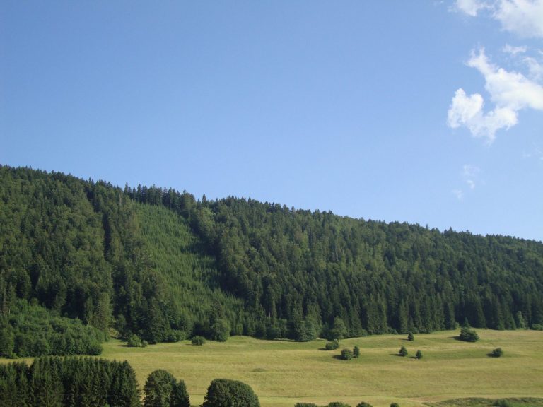 Chalet du Haut-Doubs Vue Chalet du Haut-Doubs _ gite-pontarlier.fr _ Vue depuis le Chalet
