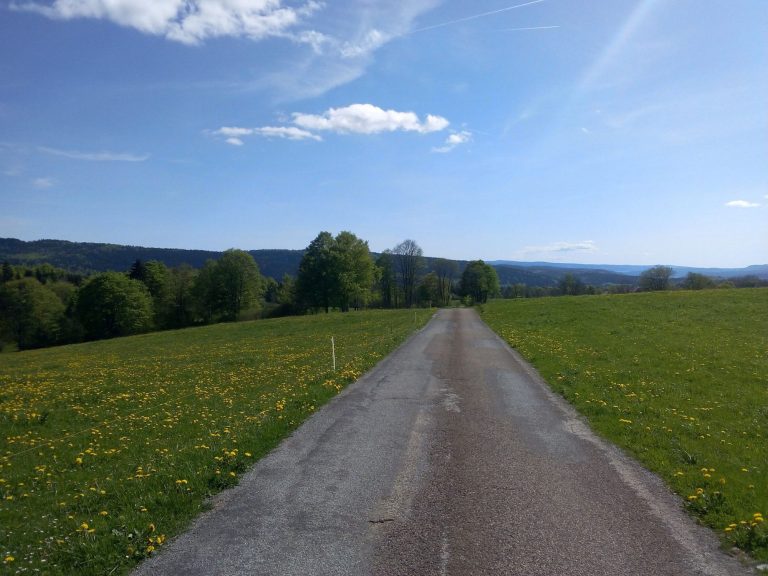 Autour du Chalet du Haut-Doubs en été 2 Chalet du Haut-Doubs _ gite-pontarlier.fr _ Autour du Chalet en été